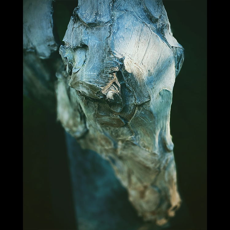 Tempera, bronze, Catherine Thiry, sculpteur, artiste belge