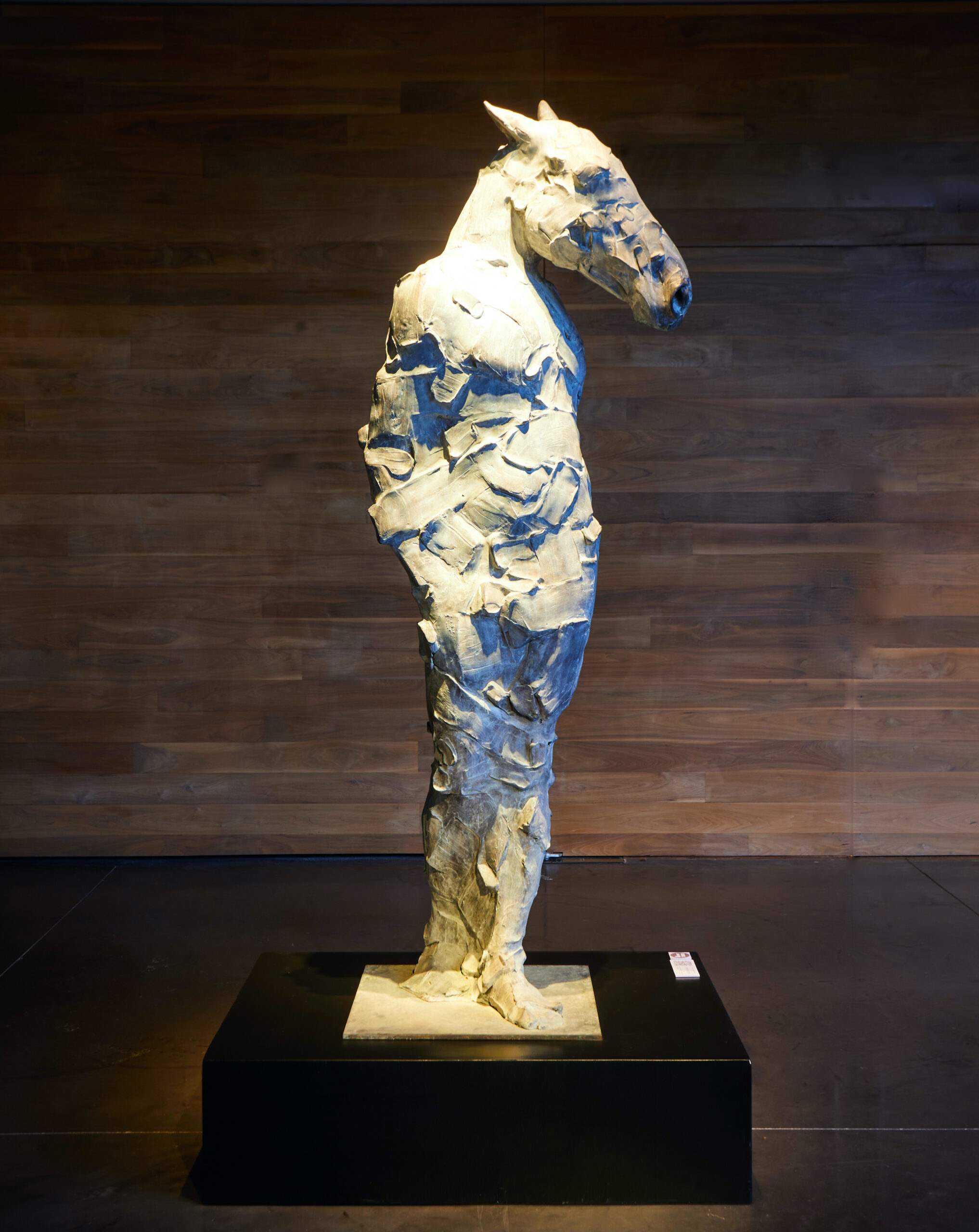 Aequanimus, bronze, 190 cm, Catherine Thiry, Sculpteur belge